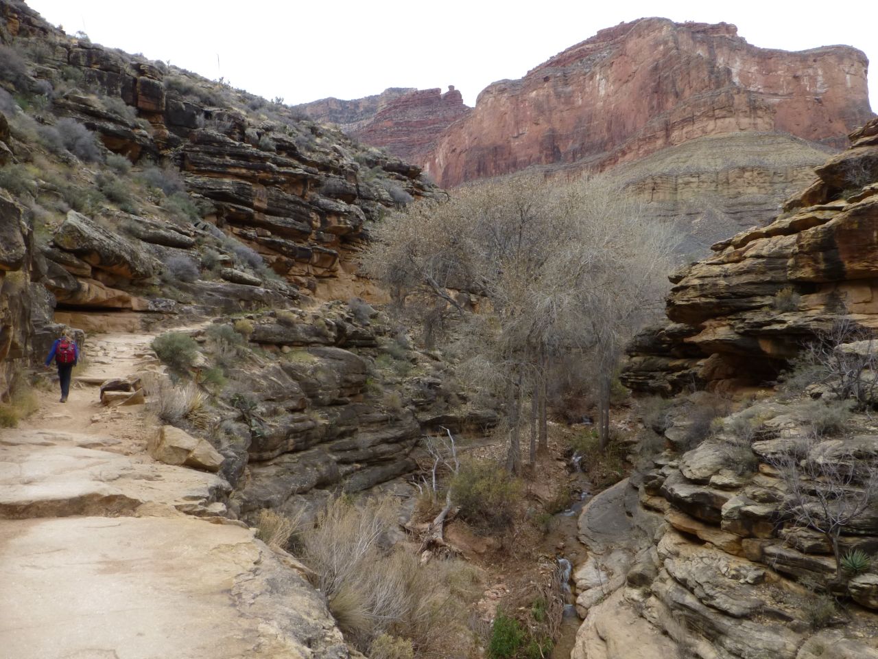 Jess (L) hiking up the Bright Angel trail